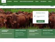 Tablet Screenshot of invernada.com.py
